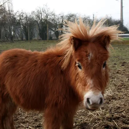 Les Perelles Couette-café