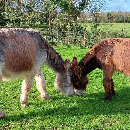 Les Perelles Saint-Vigor-le-Grand