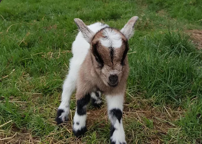 Les Perelles Frühstückspension