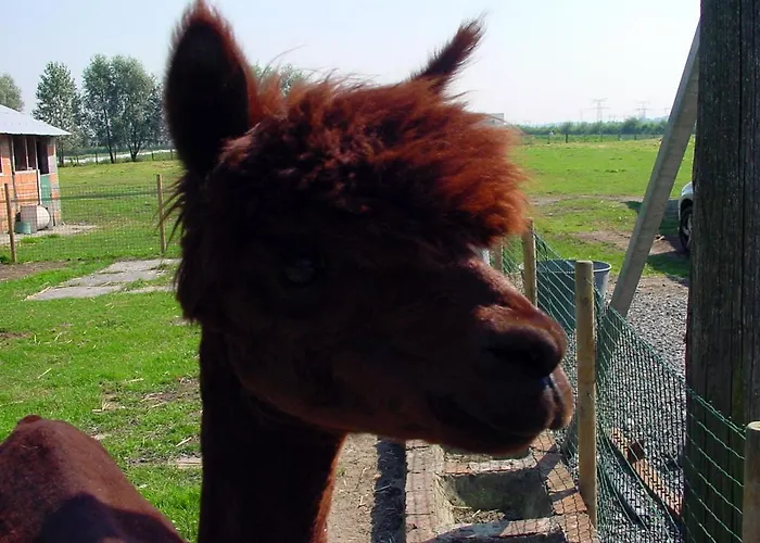 Les Perelles Frühstückspension 3*