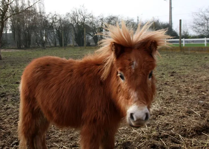 Les Perelles Frühstückspension