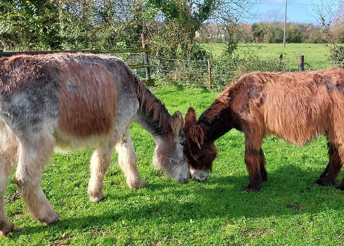 Les Perelles Saint-Vigor-le-Grand